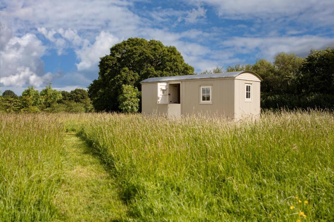 Romantic Secluded Shepherd Hut Hares Rest Southwick  Dış mekan fotoğraf