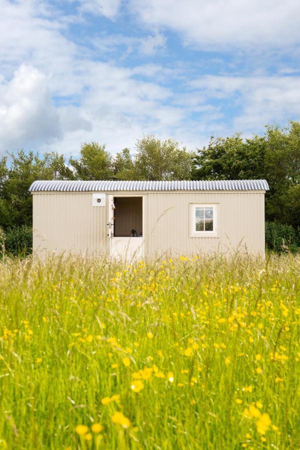Romantic Secluded Shepherd Hut Hares Rest Southwick  Dış mekan fotoğraf